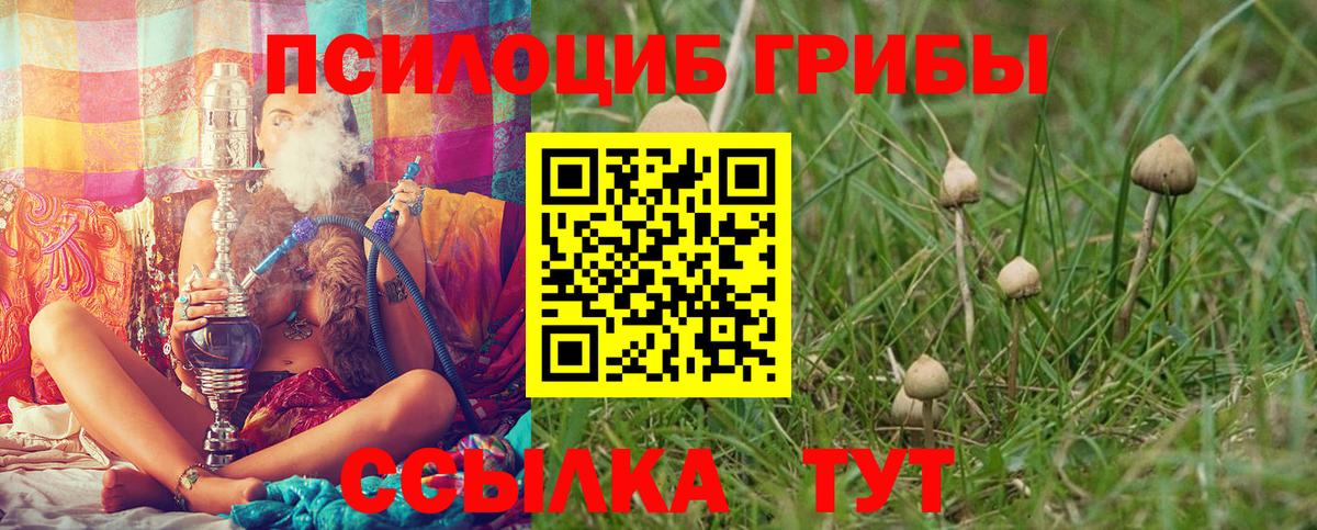 хочу   Галлюциногенные грибы Magic Shrooms  Вход с VPN  Галлюциногенные грибы ЛСД  Щёкино 
