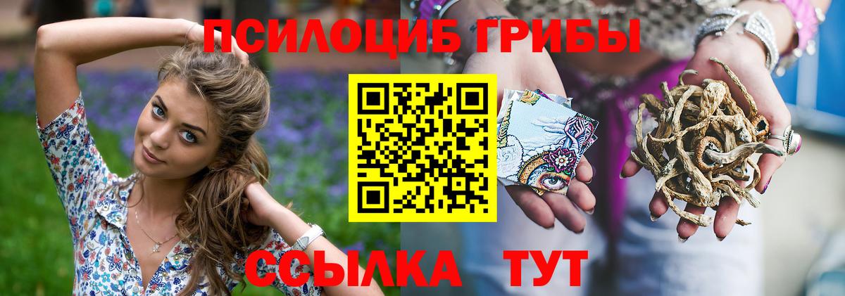 Псилоцибиновые грибы Magic Shrooms Щёкино